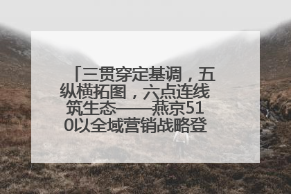 三贯穿定基调，五纵横拓图，六点连线筑生态——燕京510以全域营销战略登顶行业IP新高度
