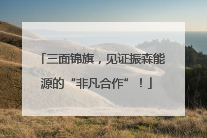 三面锦旗，见证振森能源的“非凡合作”！