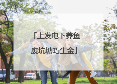 上发电下养鱼 废坑塘巧生金