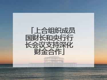 上合组织成员国财长和央行行长会议支持深化财金合作