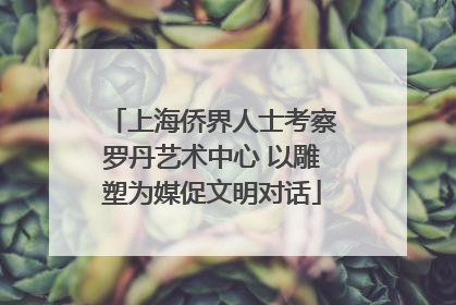 上海侨界人士考察罗丹艺术中心 以雕塑为媒促文明对话
