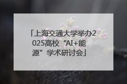 上海交通大学举办2025高校“AI+能源”学术研讨会