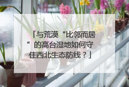 与荒漠“比邻而居”的高台湿地如何守住西北生态防线？