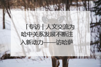 专访｜人文交流为哈中关系发展不断注入新动力——访哈萨克斯坦文化与信息部部长巴拉耶娃