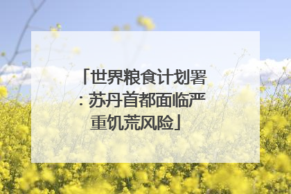 世界粮食计划署：苏丹首都面临严重饥荒风险