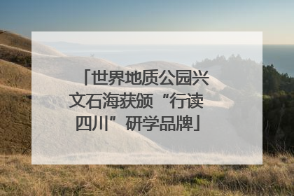 世界地质公园兴文石海获颁“行读四川”研学品牌