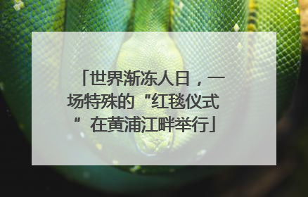世界渐冻人日，一场特殊的“红毯仪式”在黄浦江畔举行