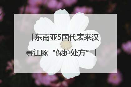 东南亚5国代表来汉寻江豚“保护处方”