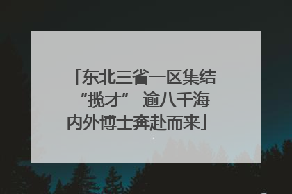 东北三省一区集结“揽才” 逾八千海内外博士奔赴而来