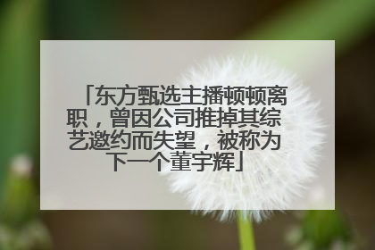 东方甄选主播顿顿离职，曾因公司推掉其综艺邀约而失望，被称为下一个董宇辉
