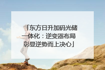 东方日升加码光储一体化：逆变器布局彰显逆势而上决心