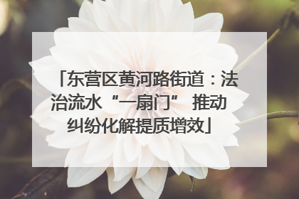 东营区黄河路街道：法治流水“一扇门” 推动纠纷化解提质增效