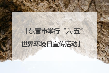 东营市举行“六·五”世界环境日宣传活动