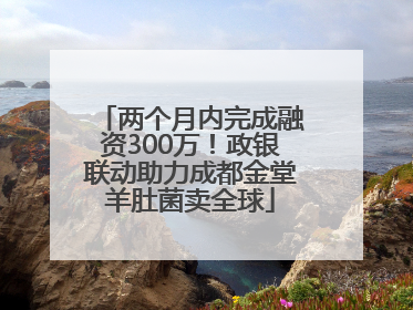 两个月内完成融资300万！政银联动助力成都金堂羊肚菌卖全球