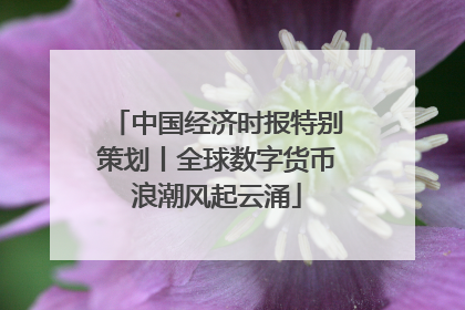 中国经济时报特别策划丨全球数字货币浪潮风起云涌