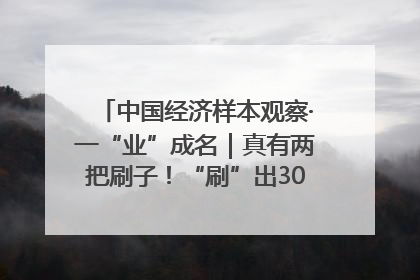 中国经济样本观察·一“业”成名｜真有两把刷子！“刷”出30亿级“颜值经济”