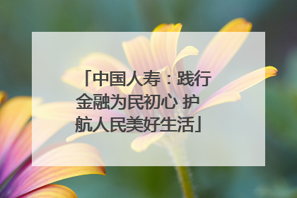 中国人寿：践行金融为民初心 护航人民美好生活