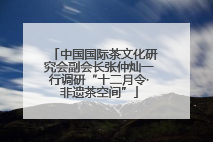 中国国际茶文化研究会副会长张仲灿一行调研“十二月令·非遗茶空间”