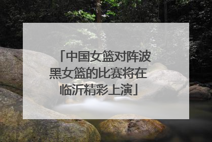 中国女篮对阵波黑女篮的比赛将在临沂精彩上演