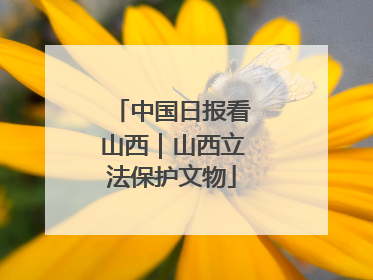 中国日报看山西｜山西立法保护文物