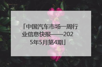 中国汽车市场一周行业信息快报——2025年5月第4期