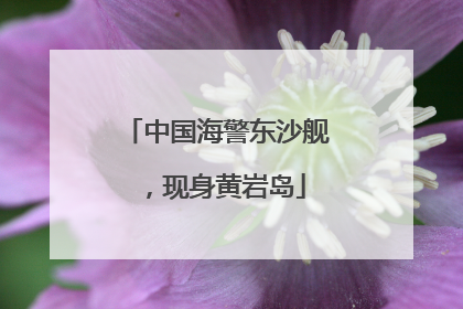 中国海警东沙舰，现身黄岩岛