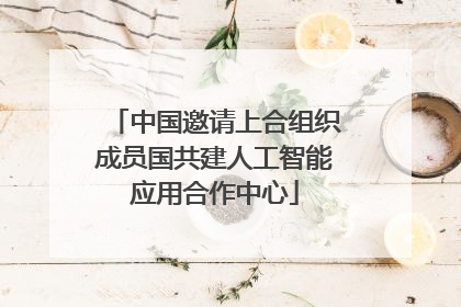 中国邀请上合组织成员国共建人工智能应用合作中心