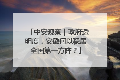 中安观察｜政府透明度，安徽何以稳居全国第一方阵？