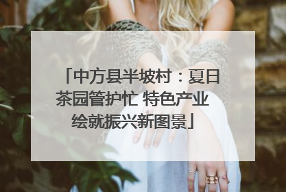 中方县半坡村：夏日茶园管护忙 特色产业绘就振兴新图景