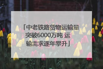 中老铁路货物运输量突破6000万吨 运输需求逐年攀升