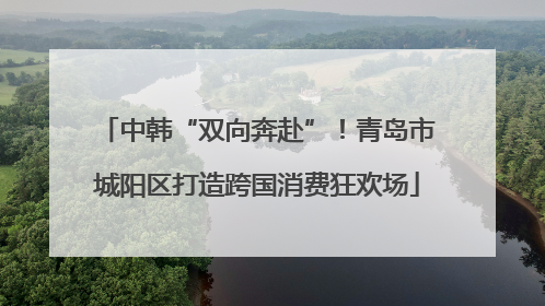 中韩“双向奔赴”！青岛市城阳区打造跨国消费狂欢场