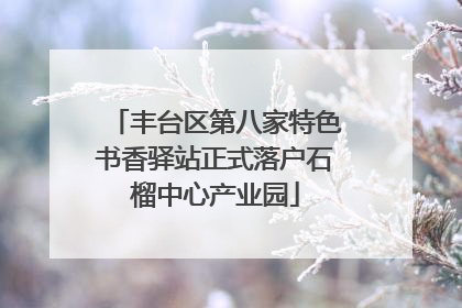 丰台区第八家特色书香驿站正式落户石榴中心产业园