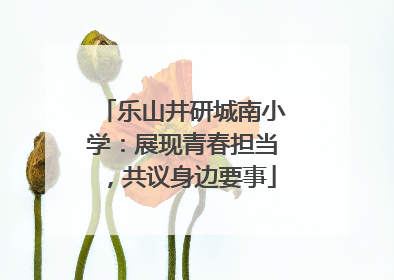 乐山井研城南小学：展现青春担当，共议身边要事