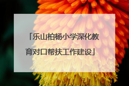 乐山柏杨小学深化教育对口帮扶工作建设