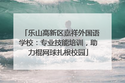 乐山高新区嘉祥外国语学校：专业技能培训，助力棍网球扎根校园