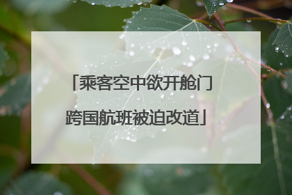 乘客空中欲开舱门 跨国航班被迫改道