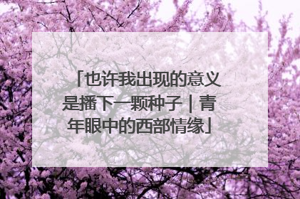 也许我出现的意义是播下一颗种子｜青年眼中的西部情缘