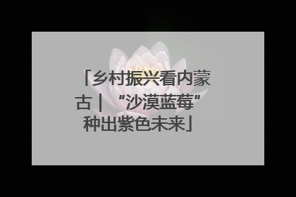乡村振兴看内蒙古｜“沙漠蓝莓”种出紫色未来