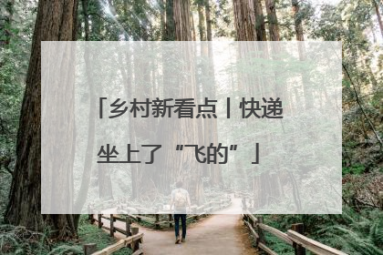乡村新看点丨快递坐上了“飞的”