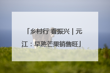 乡村行 看振兴｜元江：早熟芒果销售旺