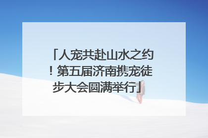 人宠共赴山水之约！第五届济南携宠徒步大会圆满举行