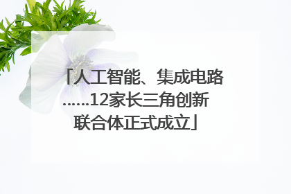 人工智能、集成电路……12家长三角创新联合体正式成立