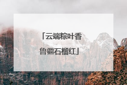 云端粽叶香 鲁疆石榴红