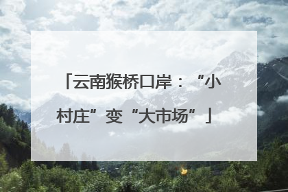 云南猴桥口岸：“小村庄”变“大市场”