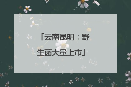 云南昆明：野生菌大量上市
