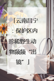 云南昌宁：保护区内珍稀野生动物频频“出镜”