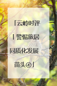 云岭时评丨警惕旅居同质化发展苗头④
