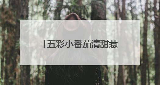 五彩小番茄清甜惹人爱，武汉种博会上好多“尖板眼”
