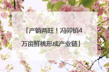 产销两旺！冯卯镇4万亩鲜桃形成产业链