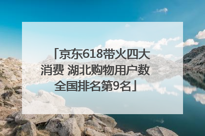 京东618带火四大消费 湖北购物用户数全国排名第9名